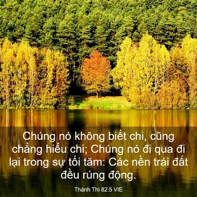 Picture 03 - Thánh Thi 82:5 VIE - Chúng nó không biết chi, cũng chẳng - Bible Verse Picture