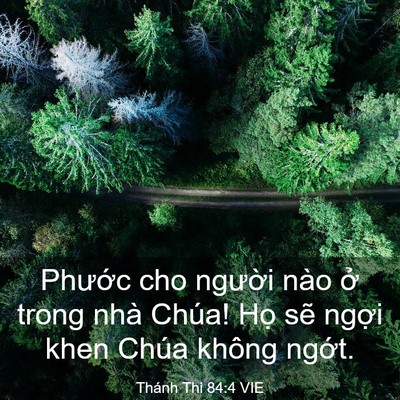 Picture 03 - Thánh Thi 84:4 VIE - Phước cho người nào ở trong nhà Chúa! - Bible Verse Picture