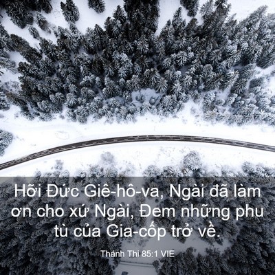 Picture 03 - Thánh Thi 85:1 VIE - Hỡi Đức Giê-hô-va, Ngài đã làm ơn cho - Bible Verse Picture