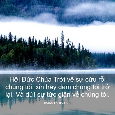 Picture 03 - Thánh Thi 85:4 VIE - Hỡi Đức Chúa Trời về sự cứu rỗi - Bible Verse Picture