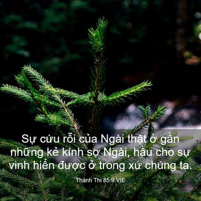 Picture 03 - Thánh Thi 85:9 VIE - Sự cứu rỗi của Ngài thật ở gần - Bible Verse Picture