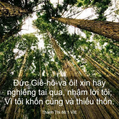 Picture 03 - Thánh Thi 86:1 VIE - Đức Giê-hô-va ôi! xin hãy nghiêng tai - Bible Verse Picture
