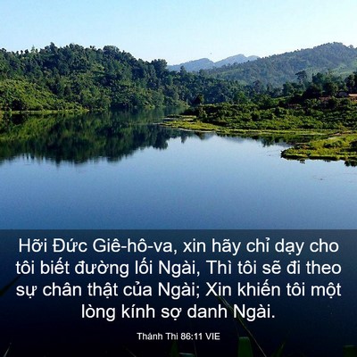 Picture 03 - Thánh Thi 86:11 VIE - Hỡi Đức Giê-hô-va, xin hãy chỉ dạy - Bible Verse Picture