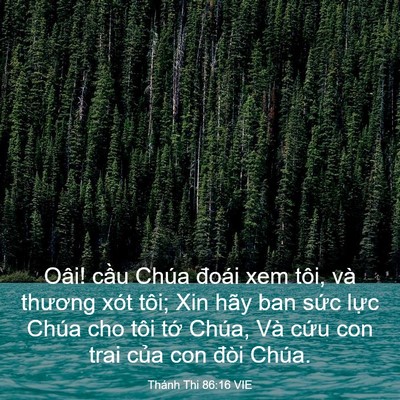 Picture 03 - Thánh Thi 86:16 VIE - Oâi! cầu Chúa đoái xem tôi, và thương - Bible Verse Picture