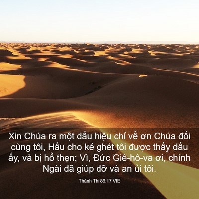 Picture 03 - Thánh Thi 86:17 VIE - Xin Chúa ra một dấu hiệu chỉ về ơn - Bible Verse Picture
