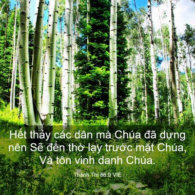 Picture 03 - Thánh Thi 86:9 VIE - Hết thảy các dân mà Chúa đã dựng nên - Bible Verse Picture