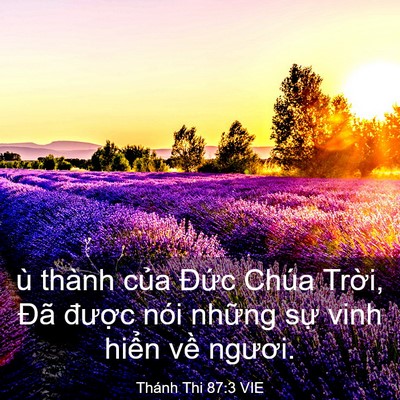 Picture 03 - Thánh Thi 87:3 VIE - ù thành của Đức Chúa Trời, Đã - Bible Verse Picture