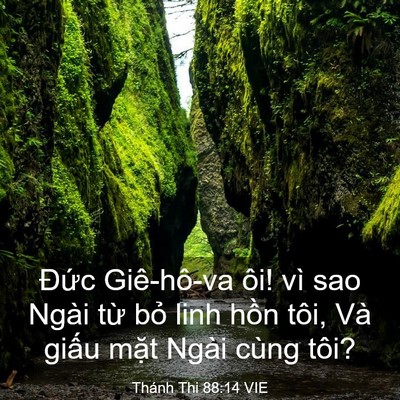 Picture 03 - Thánh Thi 88:14 VIE - Đức Giê-hô-va ôi! vì sao Ngài từ bỏ - Bible Verse Picture