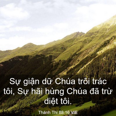 Picture 03 - Thánh Thi 88:16 VIE - Sự giận dữ Chúa trôi trác tôi, Sự - Bible Verse Picture