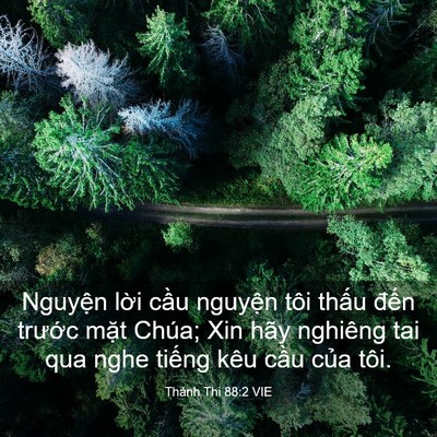 Picture 03 - Thánh Thi 88:2 VIE - Nguyện lời cầu nguyện tôi thấu đến - Bible Verse Picture