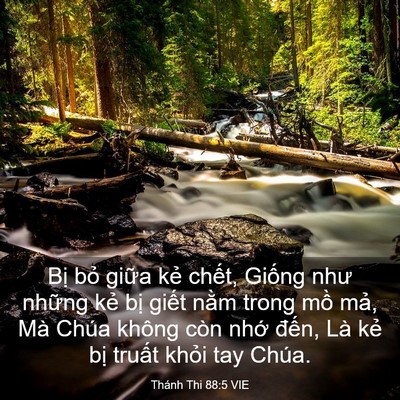 Picture 03 - Thánh Thi 88:5 VIE - Bị bỏ giữa kẻ chết, Giống như - Bible Verse Picture