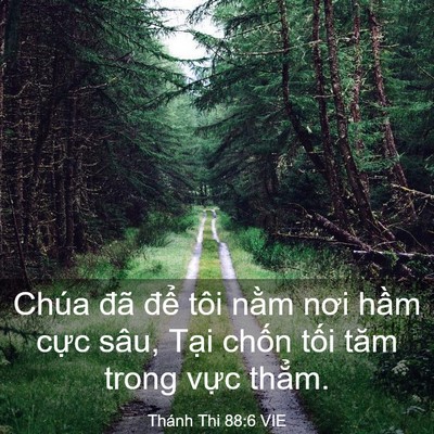 Picture 03 - Thánh Thi 88:6 VIE - Chúa đã để tôi nằm nơi hầm cực - Bible Verse Picture