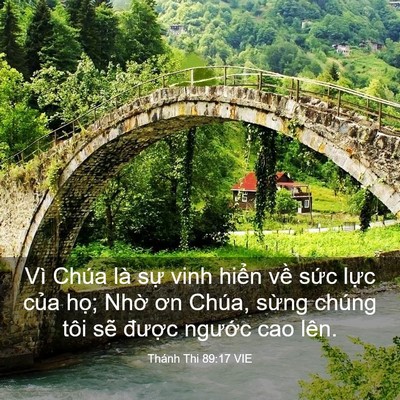Picture 03 - Thánh Thi 89:17 VIE - Vì Chúa là sự vinh hiển về sức lực - Bible Verse Picture