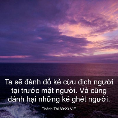 Picture 03 - Thánh Thi 89:23 VIE - Ta sẽ đánh đổ kẻ cừu địch người - Bible Verse Picture