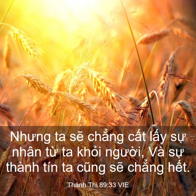 Picture 03 - Thánh Thi 89:33 VIE - Nhưng ta sẽ chẳng cất lấy sự nhân - Bible Verse Picture
