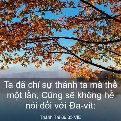 Picture 03 - Thánh Thi 89:35 VIE - Ta đã chỉ sự thánh ta mà thề một - Bible Verse Picture