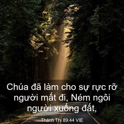 Picture 03 - Thánh Thi 89:44 VIE - Chúa đã làm cho sự rực rỡ người - Bible Verse Picture