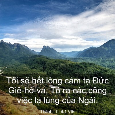 Picture 03 - Thánh Thi 9:1 VIE - Tôi sẽ hết lòng cảm tạ Đức - Bible Verse Picture