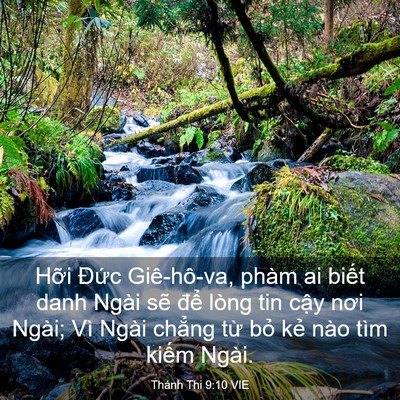 Picture 03 - Thánh Thi 9:10 VIE - Hỡi Đức Giê-hô-va, phàm ai biết danh - Bible Verse Picture