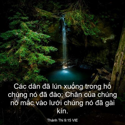 Picture 03 - Thánh Thi 9:15 VIE - Các dân đã lún xuống trong hố chúng nó - Bible Verse Picture