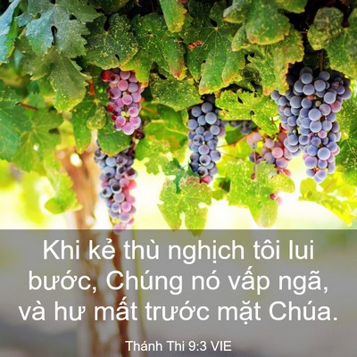 Picture 03 - Thánh Thi 9:3 VIE - Khi kẻ thù nghịch tôi lui bước, Chúng - Bible Verse Picture