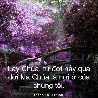 Picture 03 - Thánh Thi 90:1 VIE - Lạy Chúa, từ đời nầy qua đời kia - Bible Verse Picture