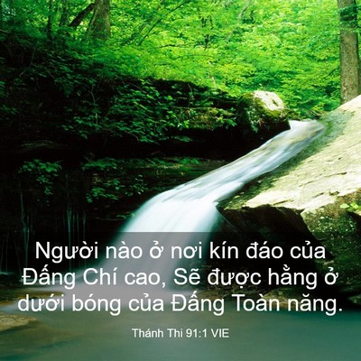 Picture 03 - Thánh Thi 91:1 VIE - Người nào ở nơi kín đáo của Đấng - Bible Verse Picture