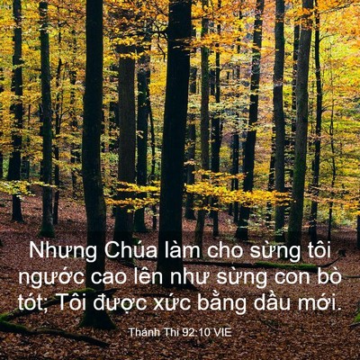 Picture 03 - Thánh Thi 92:10 VIE - Nhưng Chúa làm cho sừng tôi ngước cao - Bible Verse Picture