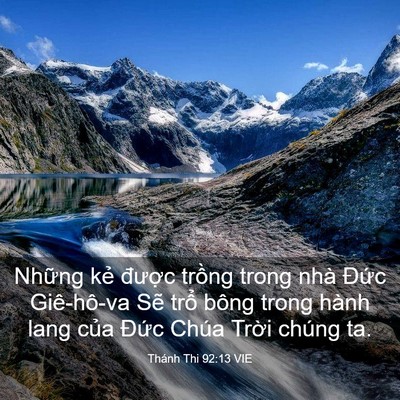 Picture 03 - Thánh Thi 92:13 VIE - Những kẻ được trồng trong nhà Đức - Bible Verse Picture