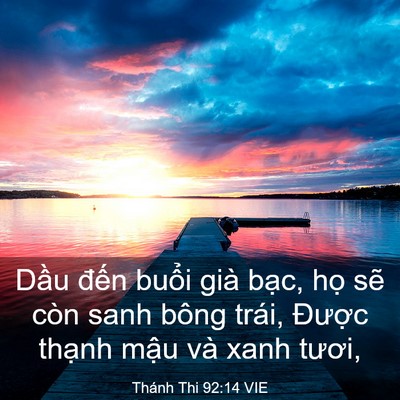 Picture 03 - Thánh Thi 92:14 VIE - Dầu đến buổi già bạc, họ sẽ còn - Bible Verse Picture