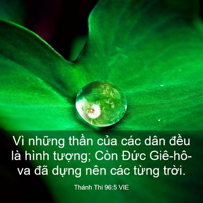 Picture 03 - Thánh Thi 96:5 VIE - Vì những thần của các dân đều là - Bible Verse Picture