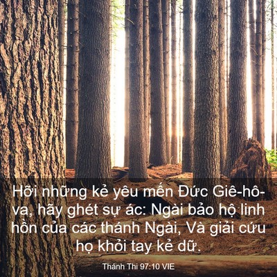 Picture 03 - Thánh Thi 97:10 VIE - Hỡi những kẻ yêu mến Đức Giê-hô-va, - Bible Verse Picture