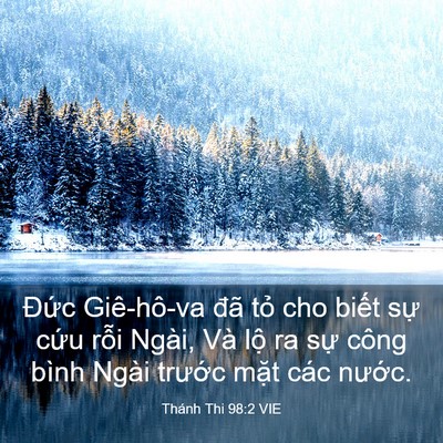 Picture 03 - Thánh Thi 98:2 VIE - Đức Giê-hô-va đã tỏ cho biết sự - Bible Verse Picture
