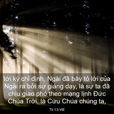Picture 03 - Tít 1:3 VIE - tới kỳ chỉ định, Ngài đã bày tỏ - Bible Verse Picture