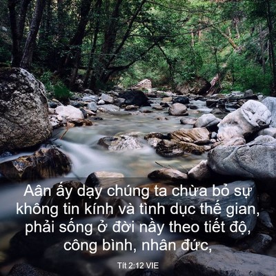 Picture 03 - Tít 2:12 VIE - Aân ấy dạy chúng ta chừa bỏ sự không - Bible Verse Picture