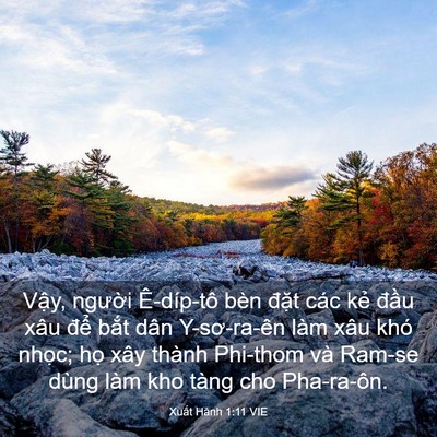 Picture 03 - Xuất Hành 1:11 VIE - Vậy, người Ê-díp-tô bèn đặt các kẻ - Bible Verse Picture