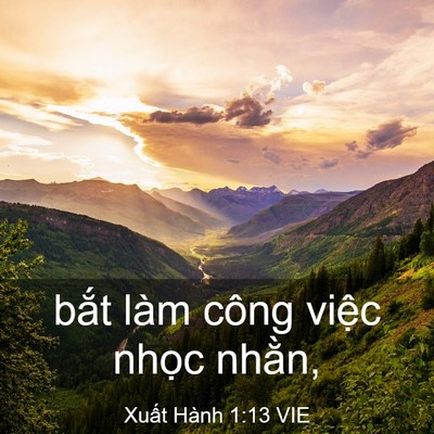 Picture 03 - Xuất Hành 1:13 VIE - bắt làm công việc nhọc - Bible Verse Picture