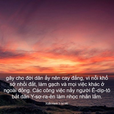 Picture 03 - Xuất Hành 1:14 VIE - gây cho đời dân ấy nên cay đắng, vì - Bible Verse Picture