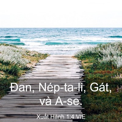 Picture 03 - Xuất Hành 1:4 VIE - Đan, Nép-ta-li, Gát, và - Bible Verse Picture