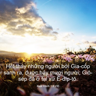 Picture 03 - Xuất Hành 1:5 VIE - Hết thảy những người bởi Gia-cốp - Bible Verse Picture