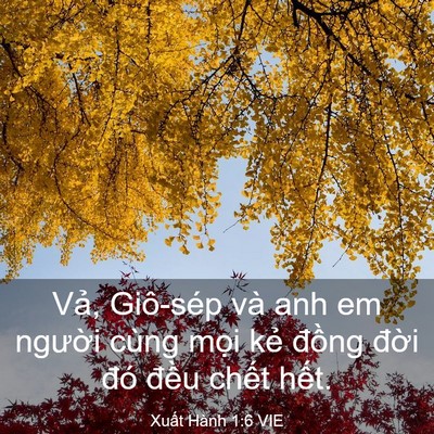 Picture 03 - Xuất Hành 1:6 VIE - Vả, Giô-sép và anh em người cùng mọi - Bible Verse Picture