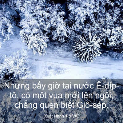 Picture 03 - Xuất Hành 1:8 VIE - Nhưng bấy giờ tại nước Ê-díp-tô, có - Bible Verse Picture