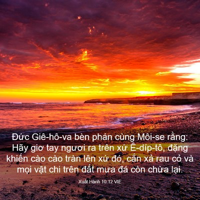 Picture 03 - Xuất Hành 10:12 VIE - Đức Giê-hô-va bèn phán cùng Môi-se - Bible Verse Picture