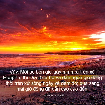 Picture 03 - Xuất Hành 10:13 VIE - Vậy, Môi-se bèn giơ gậy mình ra trên - Bible Verse Picture