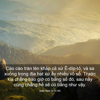 Picture 03 - Xuất Hành 10:14 VIE - Cào cào tràn lên khắp cả xứ - Bible Verse Picture