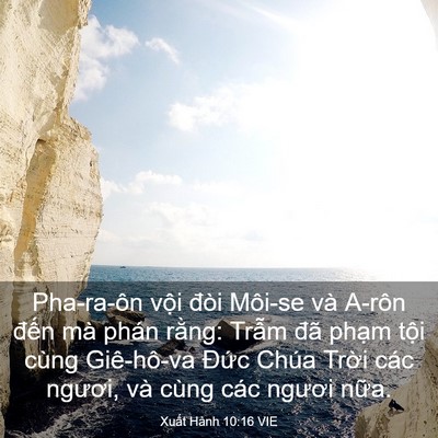 Picture 03 - Xuất Hành 10:16 VIE - Pha-ra-ôn vội đòi Môi-se và A-rôn đến - Bible Verse Picture