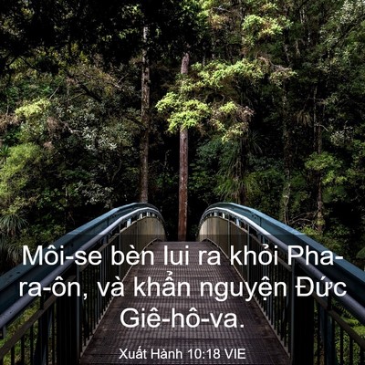 Picture 03 - Xuất Hành 10:18 VIE - Môi-se bèn lui ra khỏi Pha-ra-ôn, và khẩn - Bible Verse Picture