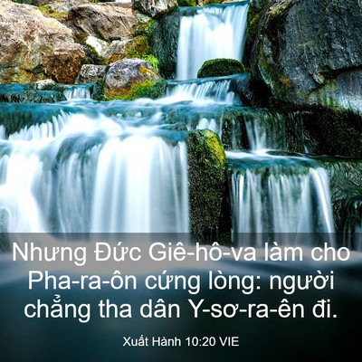 Picture 03 - Xuất Hành 10:20 VIE - Nhưng Đức Giê-hô-va làm cho Pha-ra-ôn - Bible Verse Picture