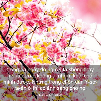 Picture 03 - Xuất Hành 10:23 VIE - trong ba ngày đó người ta không thấy - Bible Verse Picture