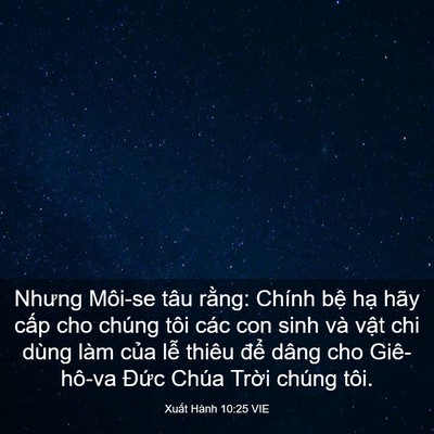 Picture 03 - Xuất Hành 10:25 VIE - Nhưng Môi-se tâu rằng: Chính bệ hạ hãy - Bible Verse Picture